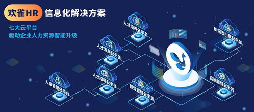 歡雀科技通過CMMI3認證，軟件研發能力獲國際權威機構認可