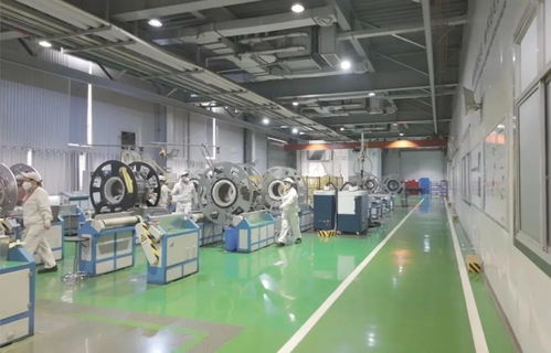 以教育之強譜寫高質量發展新篇 浙江大學勇擔使命，引領軟件研發與銷售創新實踐