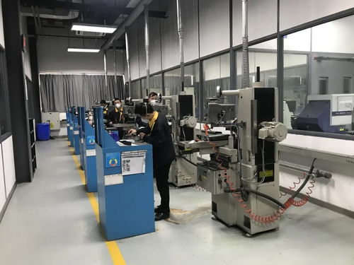 問需于企，精準服務 走進物聯網應用服務領域的雙星